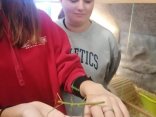 IMG_20231123_153843
