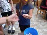 IMG-20250729-WA0012