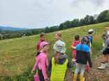 IMG-20250729-WA0021