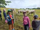 IMG-20250729-WA0027