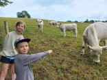 IMG-20250729-WA0031