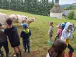 IMG-20250729-WA0036