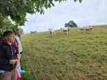 IMG-20250729-WA0038