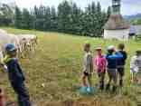 IMG-20250729-WA0040