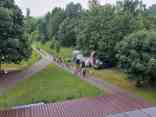 IMG-20250729-WA0057