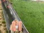 IMG-20250808-WA0008