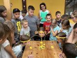 IMG_8681