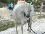 IMG_9251