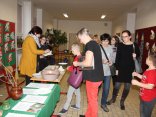 IMG_5351