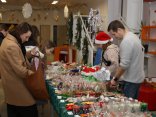 IMG_8301