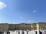 IMG_7536