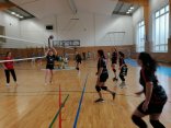 IMG_20230404_115256