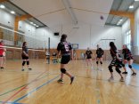 IMG_20230404_115453