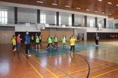 Vybíjená 4-22