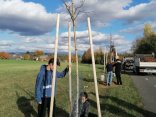 IMG_20231107_122223