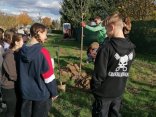 IMG_20231107_123348