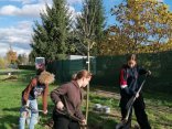 IMG_20231107_123603