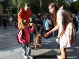 IMG_5207