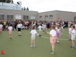 IMG_0342