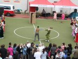 IMG_0491