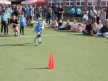 IMG_0713
