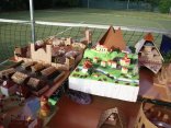 IMG_0884