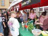 IMG_0560