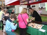 IMG_0562