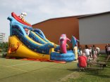 IMG_5049
