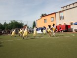 IMG_5210