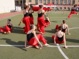 IMG_3981