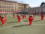 IMG_3987