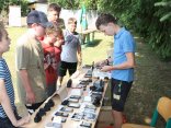 IMG_3651