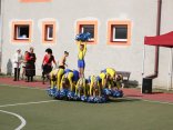 IMG_3779