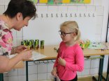 IMG_5956