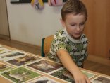 IMG_4249