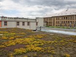 IMG_2492-2